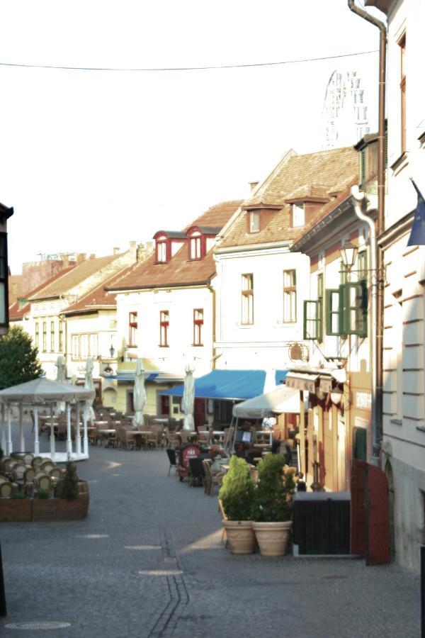 Ezüst Boróka Apartman Eger Exterior foto